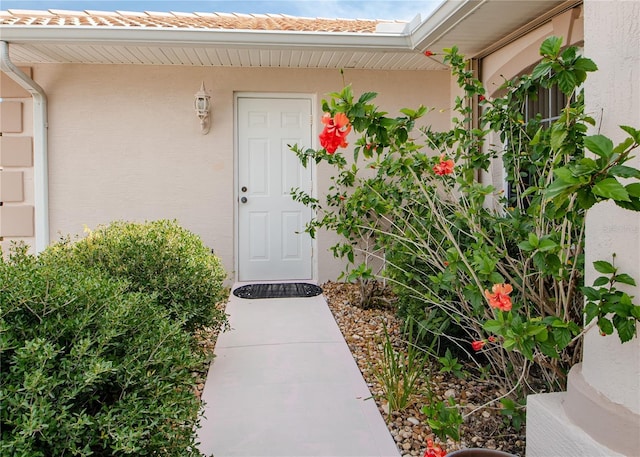 1 Butternut Dr, Palm Coast, FL 32137 - property entrance with stucco siding