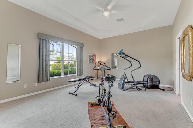 21 Webster Ln, Palm Coast, FL 32164 - workout area with carpet, ceiling fan, baseboards, and a raised ceiling