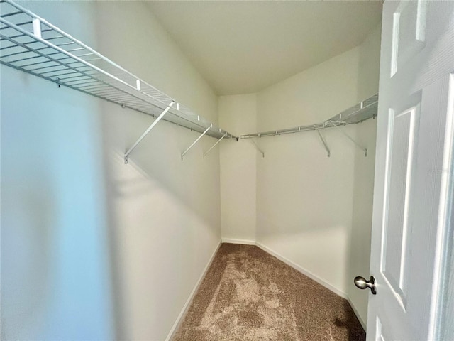 60 SW Waverly Ln, Palm Coast, FL 32164 - walk in closet featuring carpet