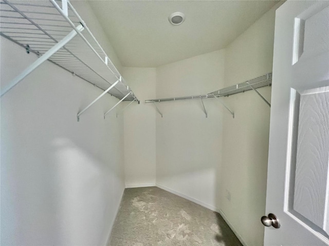96 Waverly Ln, Palm Coast, FL 32164 - walk in closet featuring light carpet