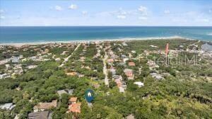 4901 Sailfish Dr, Ponce Inlet, FL 32127 - bird's eye view of a nearby body of water