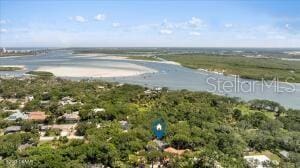 4901 Sailfish Dr, Ponce Inlet, FL 32127 - bird's eye view of a large body of water