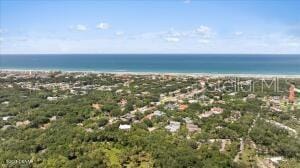 4901 Sailfish Dr, Ponce Inlet, FL 32127 - aerial view of a large body of water