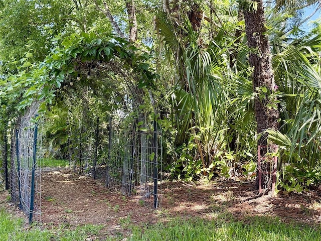 9 Cotton Ct, Palm Coast, FL 32137 - view of nature