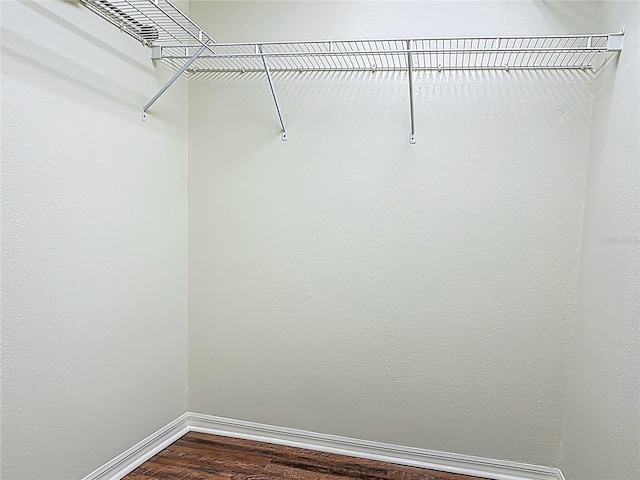 14 Zollinger Pl, Palm Coast, FL 32164 - walk in closet with dark wood-type flooring