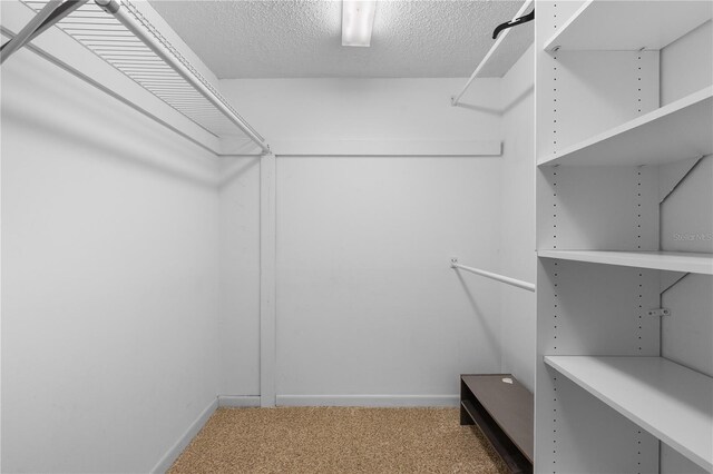 1 Tomoka Oaks Blvd Unit 135, Ormond Beach, FL 32174 - spacious closet featuring carpet