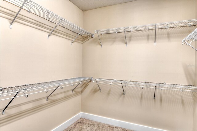47 Hidden Treasure Dr, Palm Coast, FL 32137 - spacious closet with carpet floors