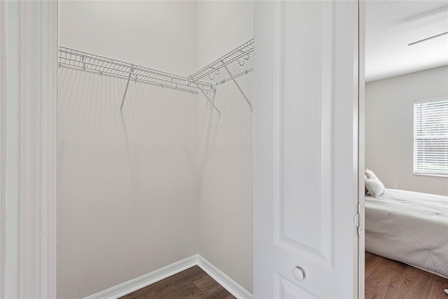 8 Zelda Ct, Palm Coast, FL 32164 - spacious closet featuring dark wood-type flooring