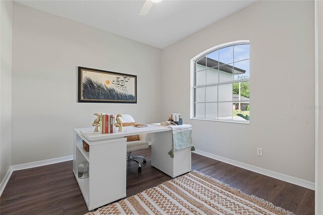 8 Zelda Ct, Palm Coast, FL 32164 - home office with baseboards, dark wood-type flooring, and ceiling fan