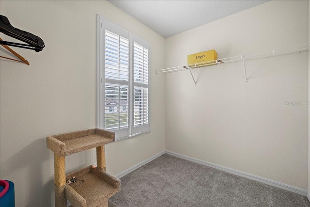 6 Ryding Ln, Palm Coast, FL 32164 - spacious closet featuring carpet flooring