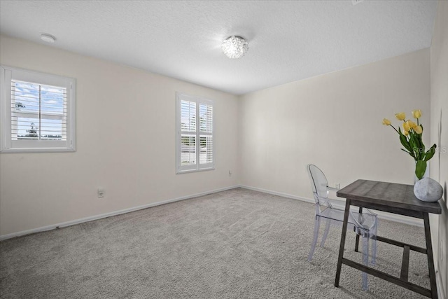 6 Ryding Ln, Palm Coast, FL 32164 - unfurnished office featuring carpet floors, a textured ceiling, and baseboards