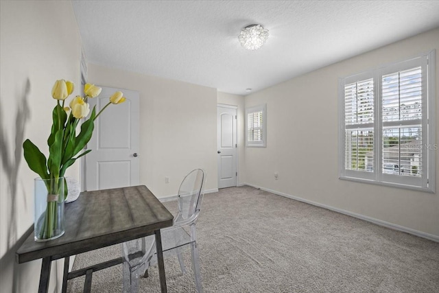 6 Ryding Ln, Palm Coast, FL 32164 - unfurnished office featuring carpet floors, baseboards, and a textured ceiling