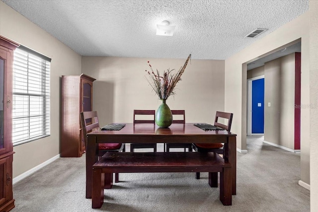 33 Bud Field Dr, Palm Coast, FL 32137 - dining room with a textured ceiling, light colored carpet, healthy amount of natural light, and baseboards