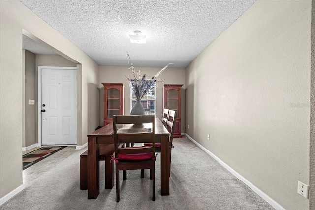 33 Bud Field Dr, Palm Coast, FL 32137 - dining room with a chandelier, a textured ceiling, carpet flooring, baseboards, and a textured wall