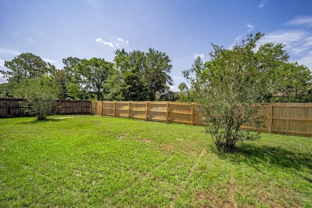 33 Bud Field Dr, Palm Coast, FL 32137 - view of yard