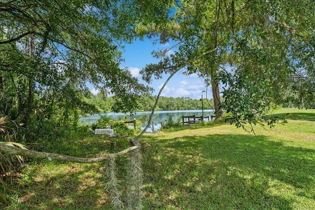 49 Ludlow Ln W, Palm Coast, FL 32137 - view of green lawn featuring a water view