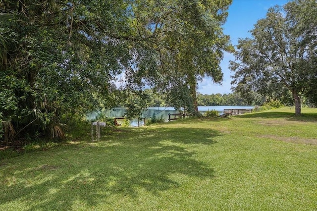 49 Ludlow Ln W, Palm Coast, FL 32137 - view of grassy yard