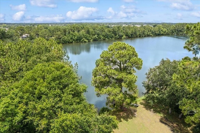 49 Ludlow Ln W, Palm Coast, FL 32137 - bird's eye view of a heavily wooded area and a large body of water