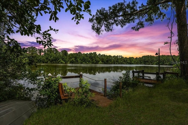 49 Ludlow Ln W, Palm Coast, FL 32137 - dock featuring a water view and a view of trees