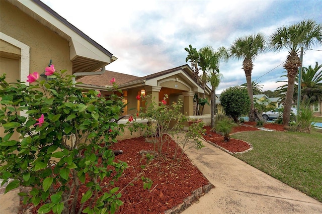 29 Cherrytree Ct, Palm Coast, FL 32137 - view of green lawn
