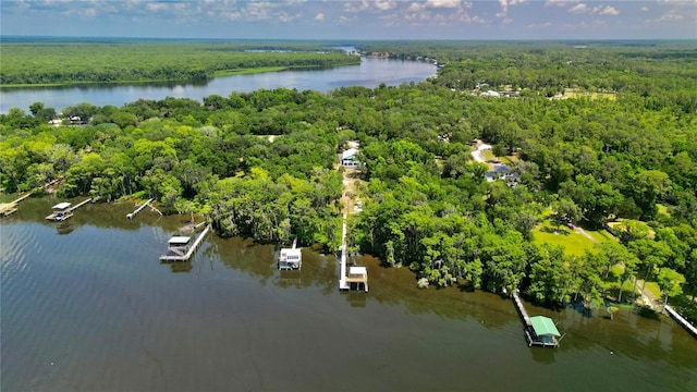 101 Beechers Point Dr, Welaka, FL 32193 - drone / aerial view of a heavily wooded area and a large body of water