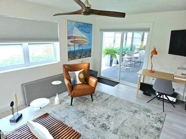 13 Sunrise Ave, Ormond Beach, FL 32176 - office with healthy amount of natural light, wood finished floors, a ceiling fan, and baseboards