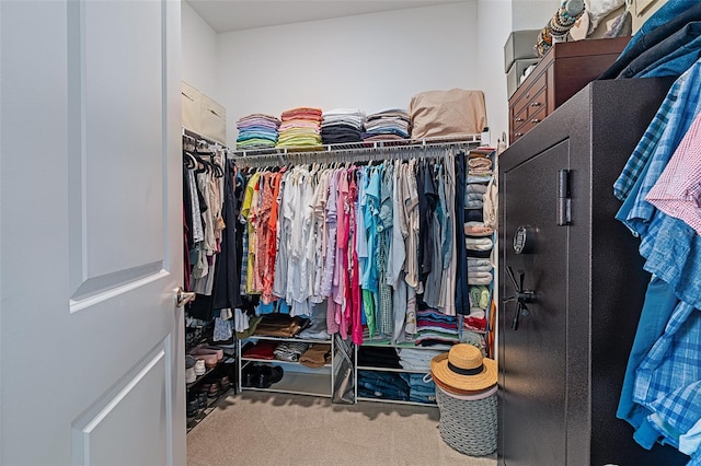 100 Las Casitas Blvd, Palm Coast, FL 32137 - spacious closet featuring carpet flooring