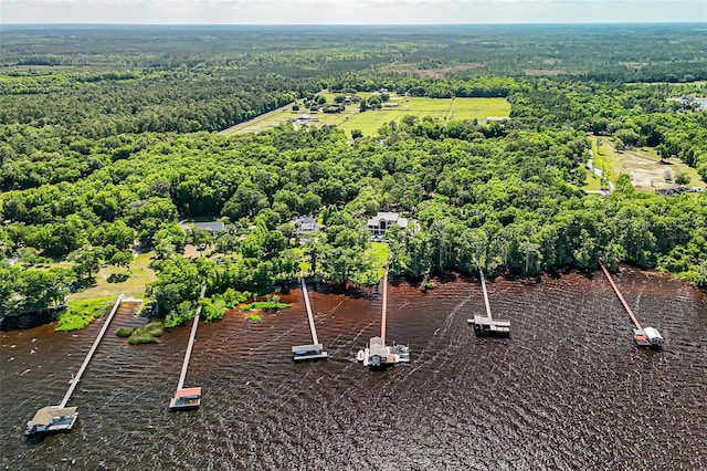 140 Monterey Bay Ln, Green Cove Springs, FL 32043 - drone / aerial view of a forest and a nearby body of water