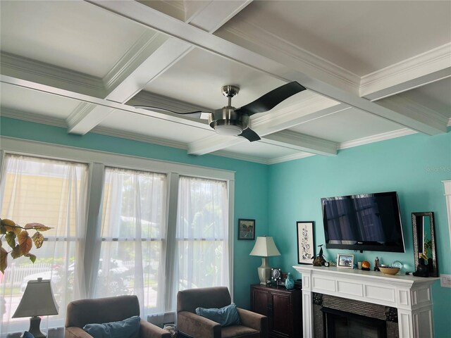 317 Saint George St, Saint Augustine, FL 32084 - photo 23