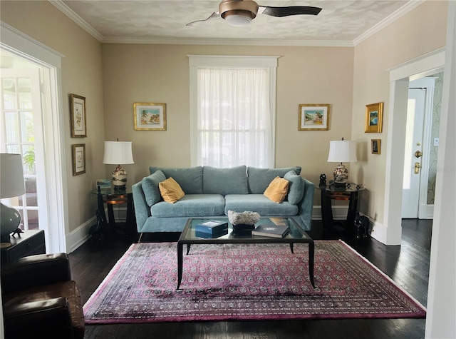 317 Saint George St, Saint Augustine, FL 32084 - photo 24
