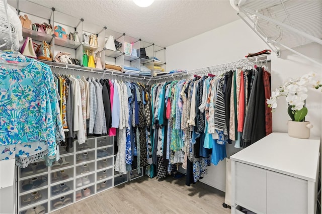 217 Birchwood Dr, Palm Coast, FL 32137 - walk in closet with wood finished floors