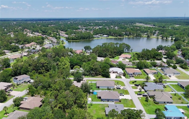 217 Birchwood Dr, Palm Coast, FL 32137 - aerial overview of property's location with a large body of water and nearby suburban area