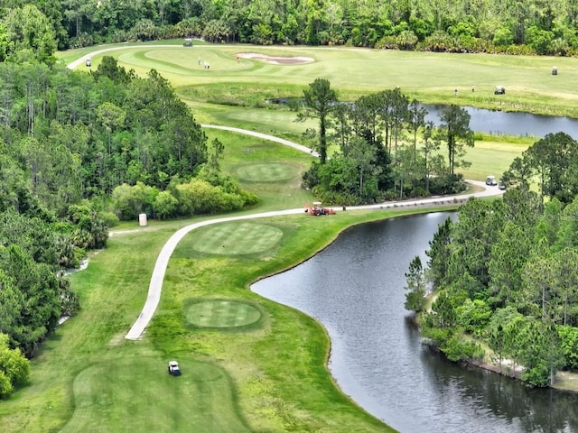 65 Lob Wedge Ln, Bunnell, FL 32110 - view of property location with a large body of water, a golf club, and a tree filled landscape