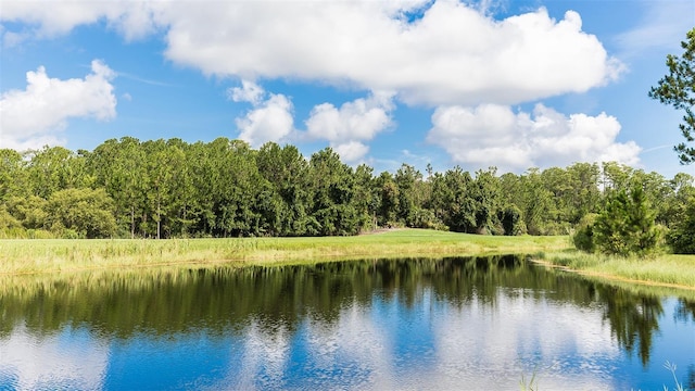 818 Grand Reserve Dr, Bunnell, FL 32110 - water view with a heavily wooded area