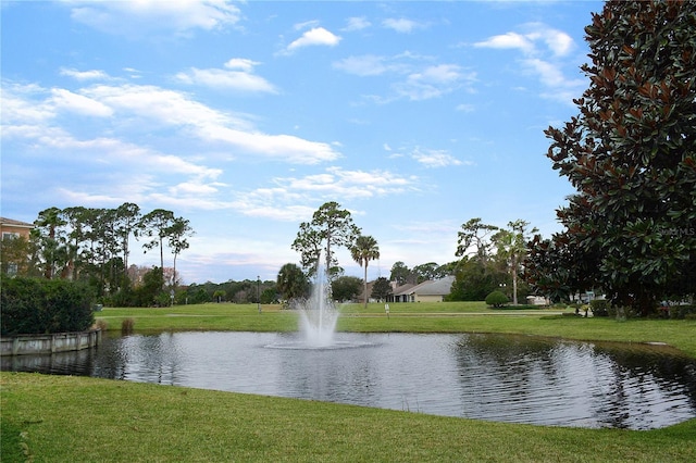 775 Blackmoor Gate Ln, Saint Augustine, FL 32084 - water view
