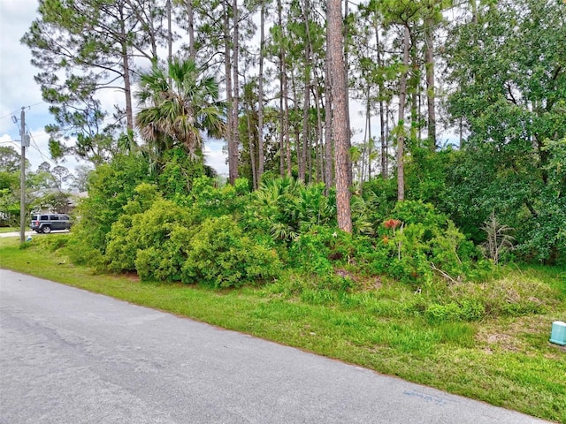 12 Burning Tree Pl, Palm Coast, FL 32137