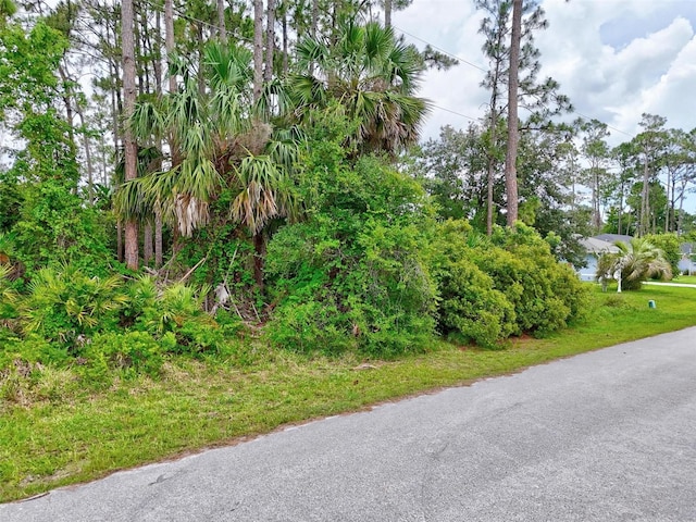12 Burning Tree Pl, Palm Coast, FL 32137