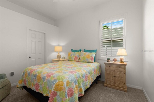 58 Slocum Path, Palm Coast, FL 32164 - bedroom featuring carpet floors and baseboards