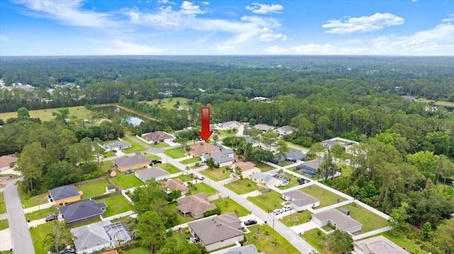 58 Slocum Path, Palm Coast, FL 32164 - aerial overview of property's location featuring a heavily wooded area and nearby suburban area