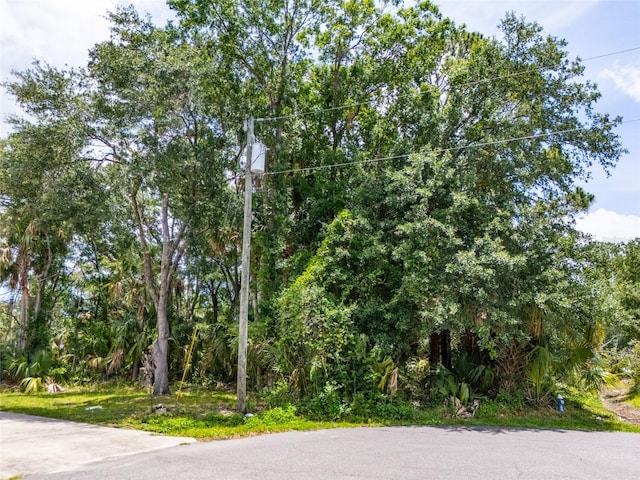 16 White Hawk Pl, Palm Coast, FL 32164