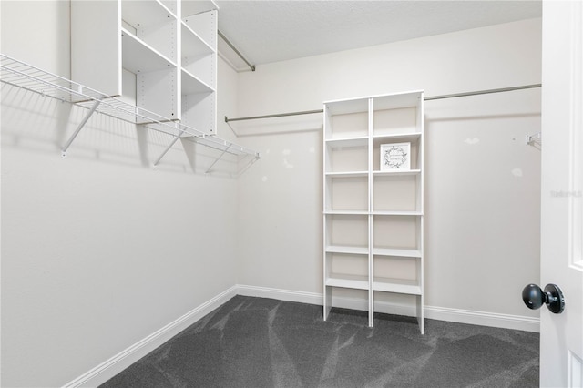13 Las Brisas Way, Palm Coast, FL 32137 - walk in closet featuring carpet