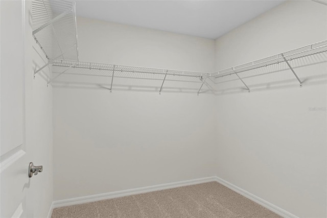 12 Ripcord Ln, Palm Coast, FL 32164 - photo 29