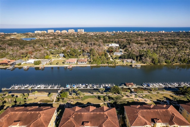 1100 Canopy Walk Ln Unit 1113, Palm Coast, FL 32137 - aerial view of property and surrounding area with a nearby body of water