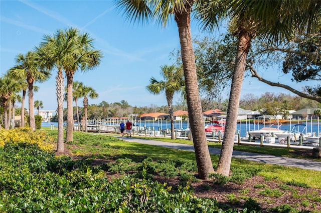 1100 Canopy Walk Ln Unit 1113, Palm Coast, FL 32137 - view of dock area