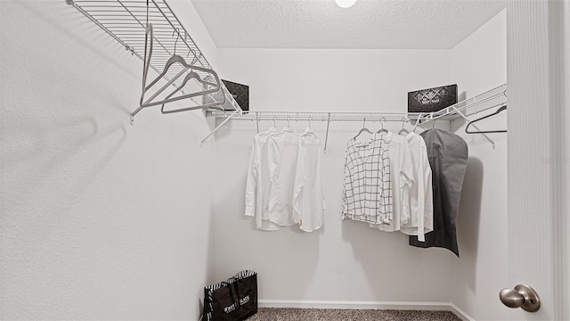 12 Renmont Pl, Palm Coast, FL 32164 - spacious closet featuring carpet flooring