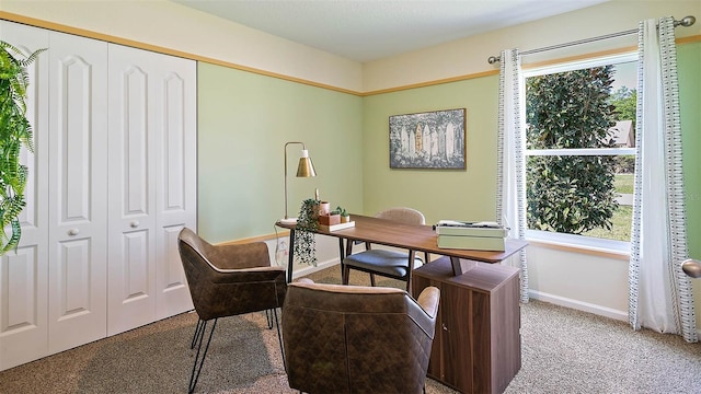 115 Wellwood Ln Unit A, Palm Coast, FL 32164 - carpeted home office with baseboards