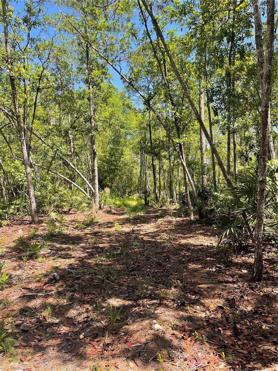 3781 Pine Pitch Ct, Ormond Beach, FL 32174
