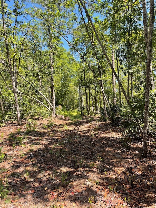 3781 Pine Pitch Ct, Ormond Beach, FL 32174