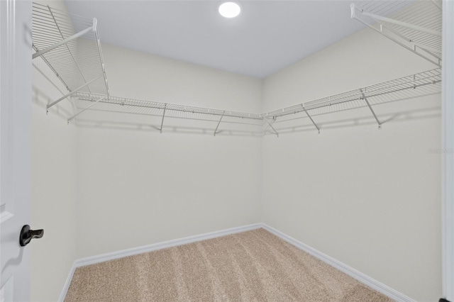 16 Priory Ln, Palm Coast, FL 32164 - photo 47