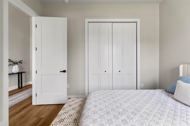 56 Columbia Ln, Palm Coast, FL 32137 - bedroom featuring wood finished floors and a closet